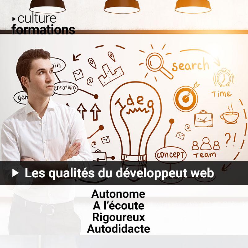competences web developpeur culture formation