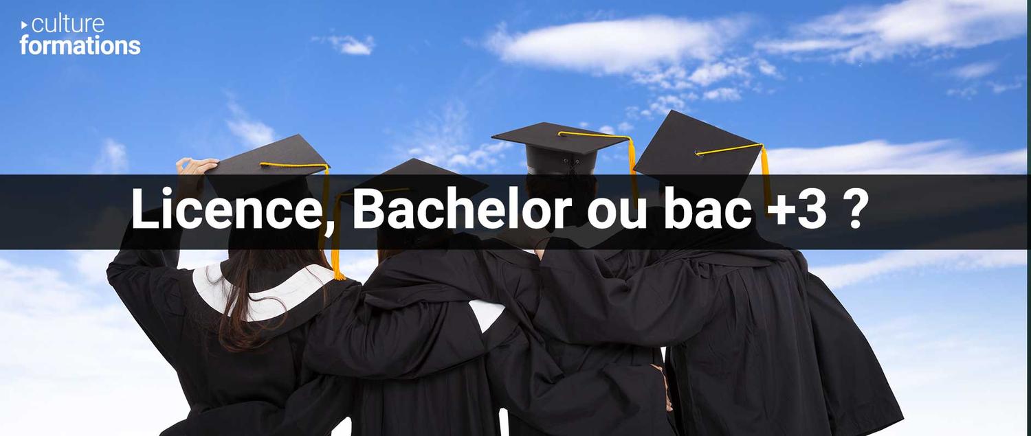 licence bachelor diplome